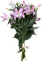 Festive bouquet of lily flowers. Composition of fresh flowers. Buds of pink and white lilies Royalty Free Stock Photo