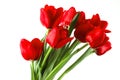 Festive bouquet of red tulips