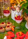 Festive brunch buffet Valentine`s Day, Mother`s Day, Woman`s Day, catering and candy bar Royalty Free Stock Photo