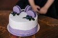 A festive cake in lilac style decorated with cakes, macaroni cookies with filling, fruits and berries on the cake