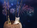 Festive card with white cat and fireworks