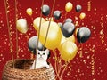 Festive card with white cat and red background Royalty Free Stock Photo