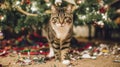 Festive cat amidst holiday decorations under christmas tree Royalty Free Stock Photo