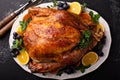 Festive celebration roasted turkey for Thanksgiving