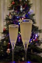 Festive champagne cocktails at Christmas Royalty Free Stock Photo