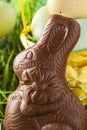 Festive Chocolate Easter Bunny