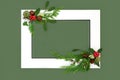 Festive Christmas Background Border with Winter Holly and Flora Royalty Free Stock Photo