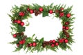 Festive Christmas Border with Flora and Baubles Royalty Free Stock Photo