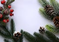 Festive Christmas card mockup with green spruce branches  cones and red berries on white background Royalty Free Stock Photo