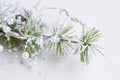 Festive Christmas decoration with pine branch and white pearls g Royalty Free Stock Photo