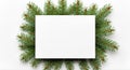 Festive Christmas Frame with Green Pine Branches and White Empty Space Royalty Free Stock Photo