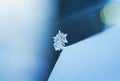 Festive Christmas natural background with a beautiful carved snowflake in a cold winter park Royalty Free Stock Photo