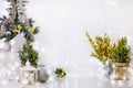 festive Christmas New Year background, banner for photo shoots from small trees decorated with balls in rustic bags,golden Royalty Free Stock Photo