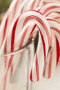 Festive Christmas Peppermint Candy Cane Royalty Free Stock Photo