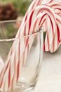 Festive Christmas Peppermint Candy Cane Royalty Free Stock Photo