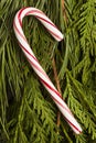 Festive Christmas Peppermint Candy Cane Royalty Free Stock Photo