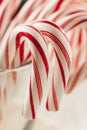 Festive Christmas Peppermint Candy Cane Royalty Free Stock Photo