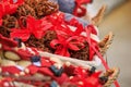 Festive cityscape - view of the dried anise fruits closeup on the Christmas Market in the city of Vienna