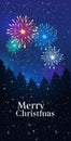 Festive colorful fireworks salute over night pine forest happy new year merry christmas holiday celebration concept Royalty Free Stock Photo