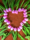 The form of heart from pink tulips