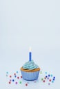 Festive cupcake with candle on blue background, 3d rendering