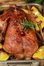 Festive duck baked with oranges