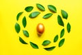 Festive easter background. Golden, stylish pinted egg with ruskus leaves on yellow background