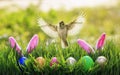 Easter card with a Sparrow bird flying with its wings and feathers spread over multicolored eggs and rabbit ears in the