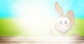 Festive Easter Time Royalty Free Stock Photo