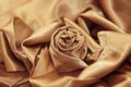 Festive elegant rose silk Golden