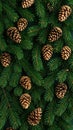 Festive Evergreen Branches and Pine Cones Pattern Create a Holiday Christmas Winter Background Royalty Free Stock Photo