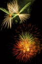 Festive fireworks