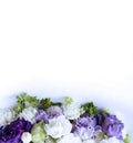 Festive floral arrangement in soft pastel colors. White and purple flowers on a white background. Irises and carnations in a luxur Royalty Free Stock Photo