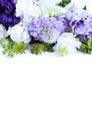 Festive floral arrangement in soft pastel colors. White and purple flowers on a white background. Irises and carnations in a luxur Royalty Free Stock Photo