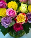 Festive floral background.bouquet of colorful roses Royalty Free Stock Photo