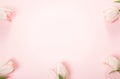 Flowers composition. Frame made of pink flowers on white background. Valentine& x27;s Day. Flat lay, top view. Royalty Free Stock Photo