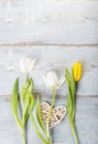 Flowers composition. Frame made of white flowers on blue background Royalty Free Stock Photo