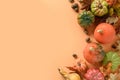 Fall harvest, pumpkins, corncob, colorful leaves on orange background. Autumn, Thanksgiving Day mock up. Royalty Free Stock Photo