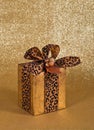 Festive gift wrapped present Royalty Free Stock Photo