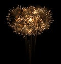 Festive Grandiose Firework Explode Bursting Sparkling Royalty Free Stock Photo