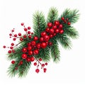 Festive Green Pine Branch with Bright Red Berries on White Background Royalty Free Stock Photo