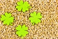 Festive greeting card base of brewing millet set of grains and the main symbol of patrik day