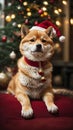 Festive Harmony: Shiba Inu's Merry Christmas Magic, Delightful Scenes, and Heartwarming Canine Joy.