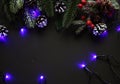 Festive composition of snow covered evergreen branches and pine cones  berries and illumination on black background Royalty Free Stock Photo