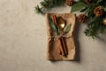 Festive holiday table setting featuring kraft paper wrap, golden spoon, cinnamon, and evergreen decor Royalty Free Stock Photo