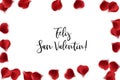 Valentines Day rose petal background Royalty Free Stock Photo