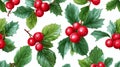 Festive Holly Berry Pattern on White Background Royalty Free Stock Photo