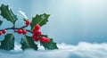 Festive holly branches with red berries on icy blue background Royalty Free Stock Photo