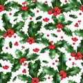 Festive holly pattern