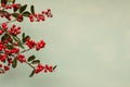 Festive Holly: Season's Berry Elegance